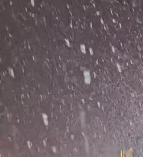 最冷不過倒春寒，三月又見桃花雪，香香市的天氣有點反常哦！